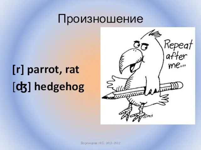 Произношение [r] parrot, rat [ʤ] hedgehog Воронцова Н.С. 2011-2012