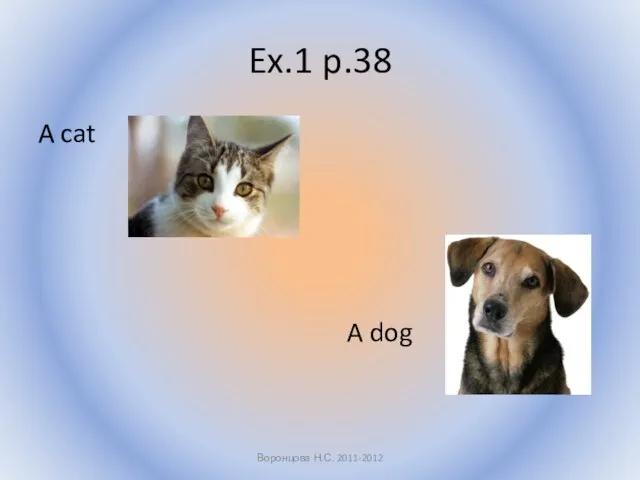 Ex.1 p.38 A cat A dog Воронцова Н.С. 2011-2012