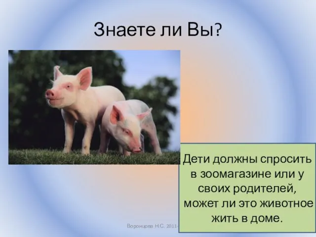 Знаете ли Вы? Воронцова Н.С. 2011-2012 Дети должны спросить в зоомагазине