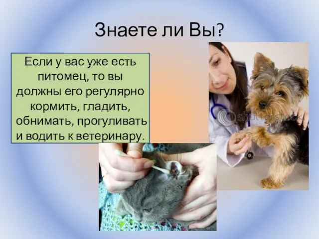 Знаете ли Вы? Воронцова Н.С. 2011-2012 Если у вас уже есть