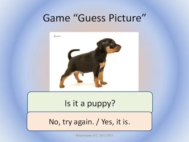 Game “Guess Picture” Воронцова Н.С. 2011-2012 Is it a puppy? No,