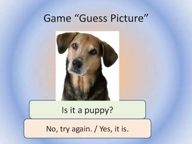 Game “Guess Picture” Воронцова Н.С. 2011-2012 Is it a puppy? No,