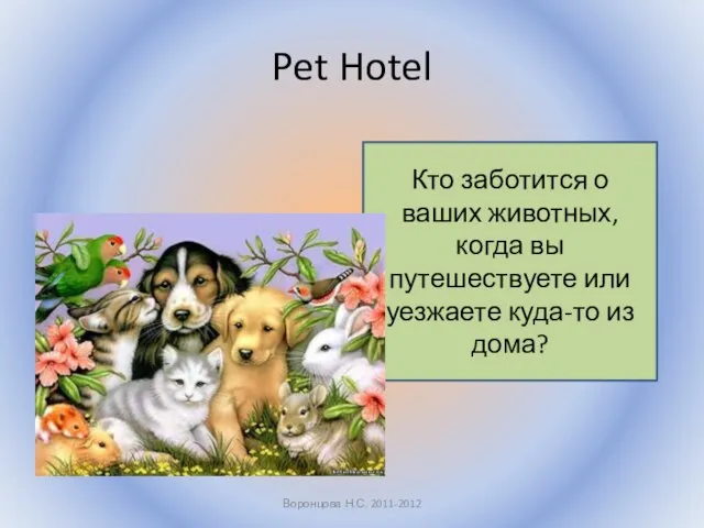 Pet Hotel Воронцова Н.С. 2011-2012 Кто заботится о ваших животных, когда