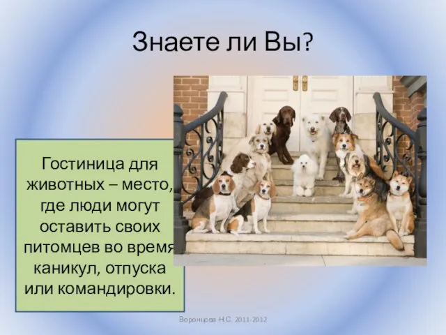 Знаете ли Вы? Воронцова Н.С. 2011-2012 Гостиница для животных – место,