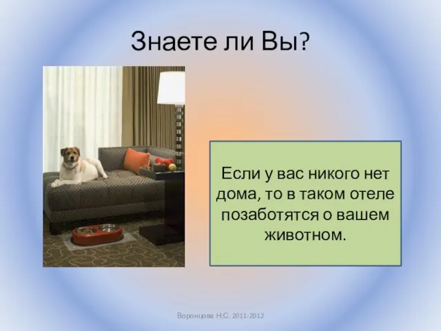 Знаете ли Вы? Воронцова Н.С. 2011-2012 Если у вас никого нет