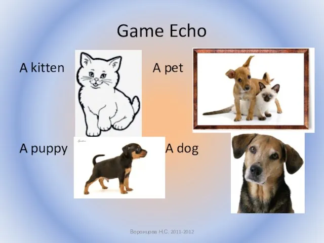 Game Echo A kitten A pet A puppy A dog Воронцова Н.С. 2011-2012