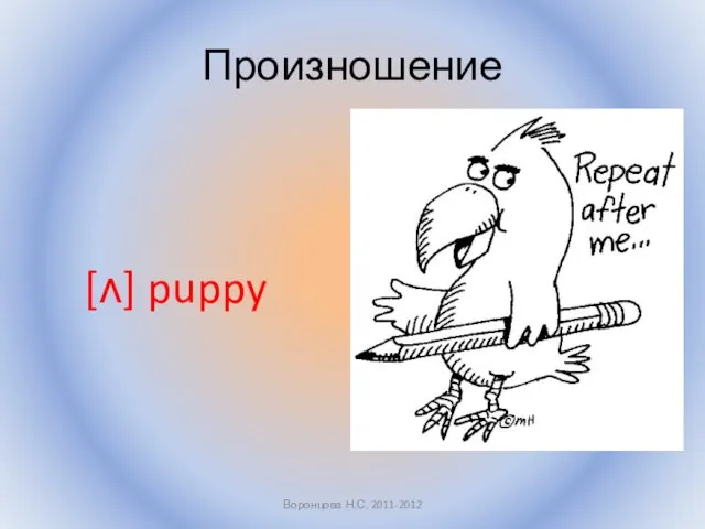 Произношение [ʌ] puppy Воронцова Н.С. 2011-2012