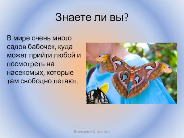 Знаете ли вы? В мире очень много садов бабочек, куда может