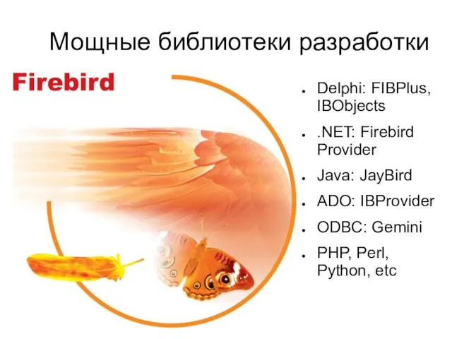 Мощные библиотеки разработки Delphi: FIBPlus, IBObjects .NET: Firebird Provider Java: JayBird