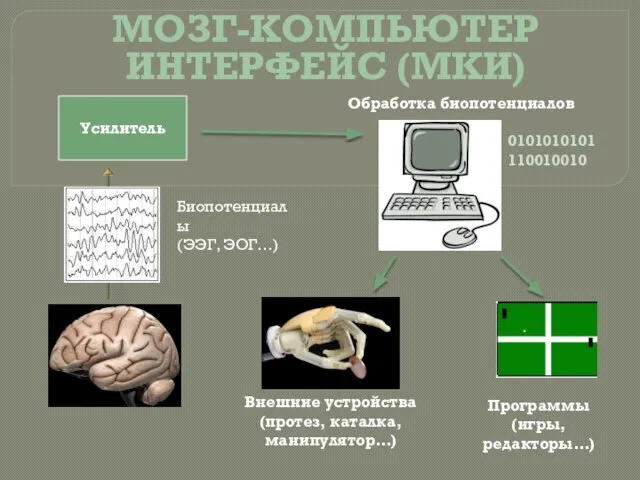 Усилитель 0101010101 110010010 Внешние устройства (протез, каталка, манипулятор…) Программы (игры, редакторы…)