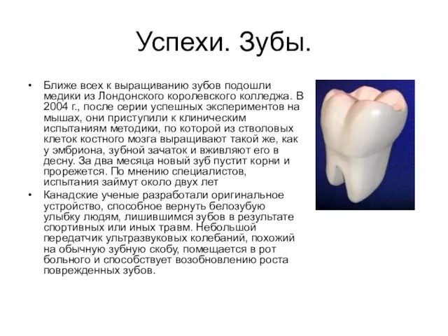 Успехи. Зубы. Ближе всех к выращиванию зубов подошли медики из Лондонского