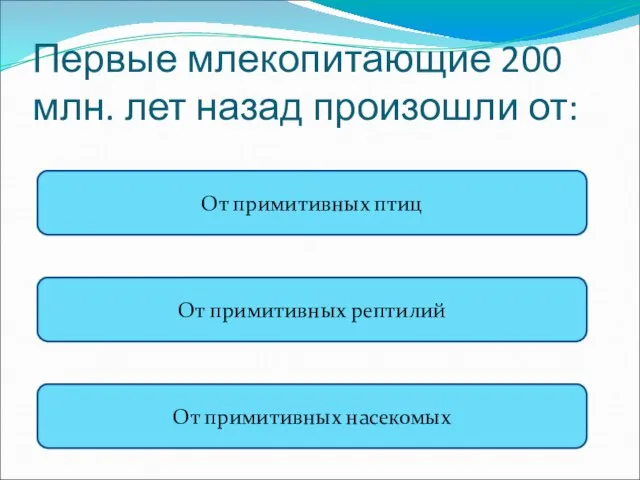 Первые млекопитающие 200 млн. лет назад произошли от: От примитивных птиц