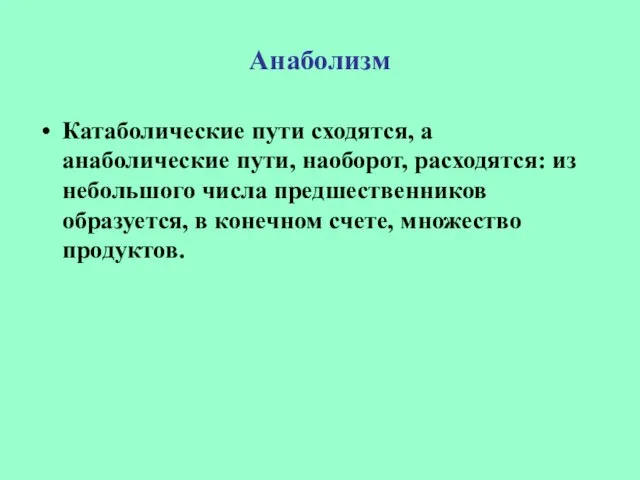 Анаболизм Катаболические пути сходятся, а анаболические пути, наоборот, расходятся: из небольшого