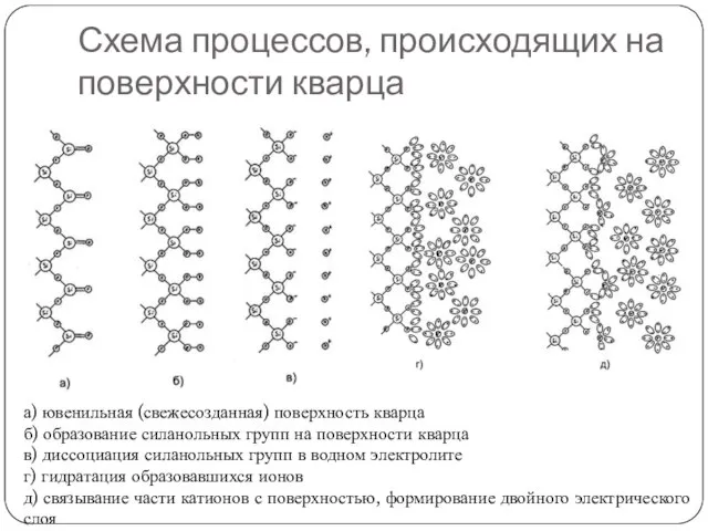 Схема процессов, происходящих на поверхности кварца а) ювенильная (свежесозданная) поверхность кварца