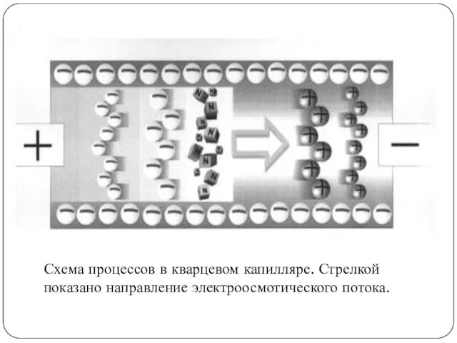 Схема процессов в кварцевом капилляре. Стрелкой показано направление электроосмотического потока.