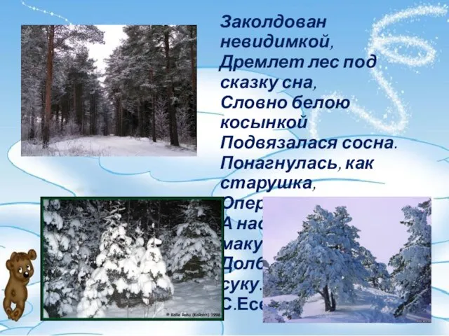 Заколдован невидимкой, Дремлет лес под сказку сна, Словно белою косынкой Подвязалася