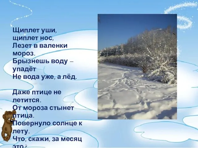 Щиплет уши, щиплет нос, Лезет в валенки мороз. Брызнешь воду –