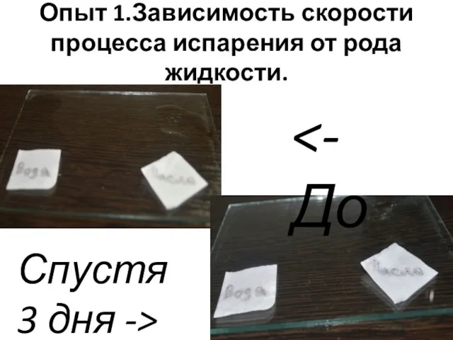 Опыт 1.Зависимость скорости процесса испарения от рода жидкости. Спустя 3 дня ->