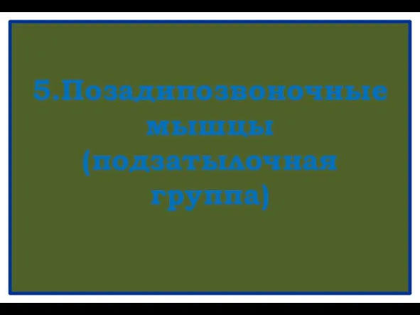 5.Позадипозвоночные мышцы (подзатылочная группа)