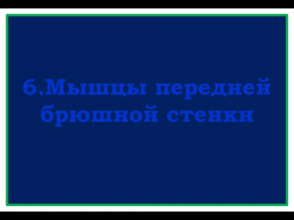 6.Мышцы передней брюшной стенки