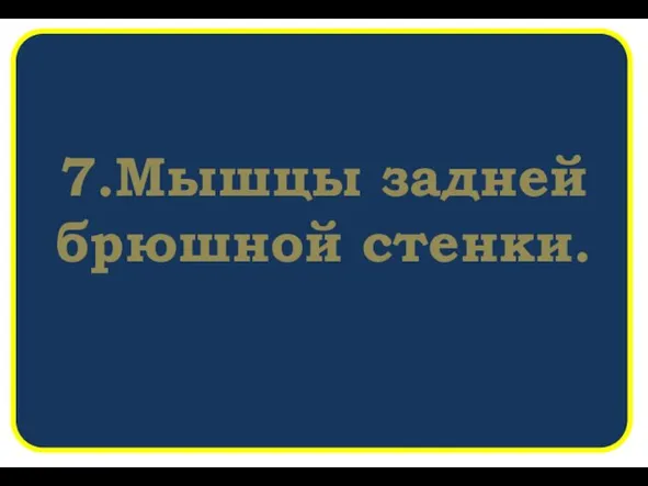 7.Мышцы задней брюшной стенки.