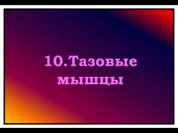 10.Тазовые мышцы