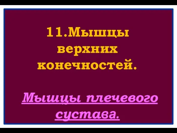 11.Мышцы верхних конечностей. Мышцы плечевого сустава.