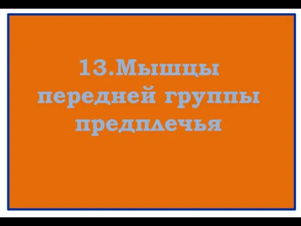 13.Мышцы передней группы предплечья