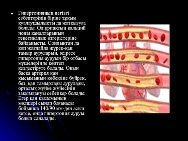 Гипертонияның негізгі себептерінің біріне тұқым қуалаушылықты да жатқызуға болады. Ол ұрпақтың