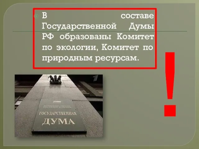 В составе Государственной Думы РФ образованы Комитет по экологии, Комитет по природным ресурсам. !