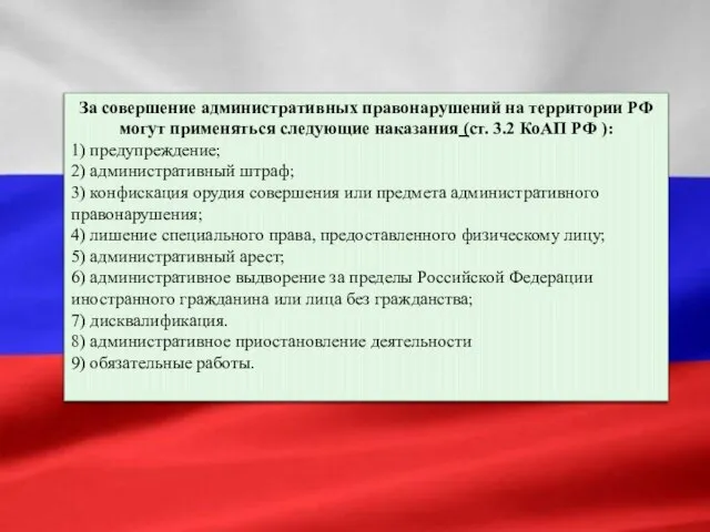 За совершение административных правонарушений на территории РФ могут применяться следующие наказания