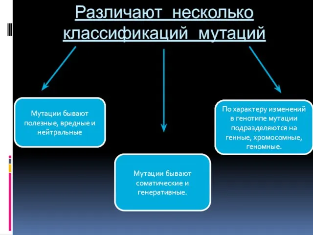 Различают несколько классификаций мутаций Мутации бывают полезные, вредные и нейтральные Мутации