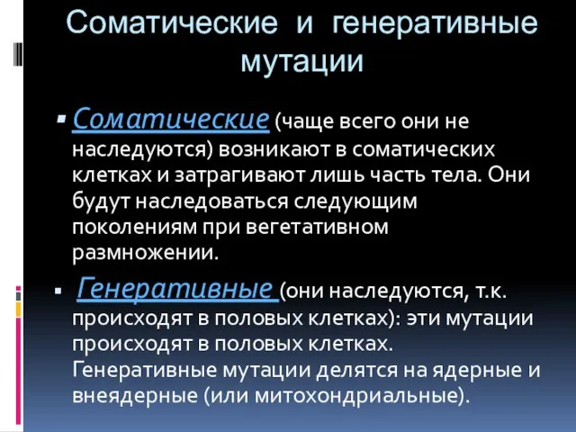 Соматические и генеративные мутации Соматические (чаще всего они не наследуются) возникают