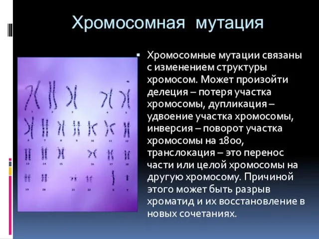 Хромосомная мутация Хромосомные мутации связаны с изменением структуры хромосом. Может произойти