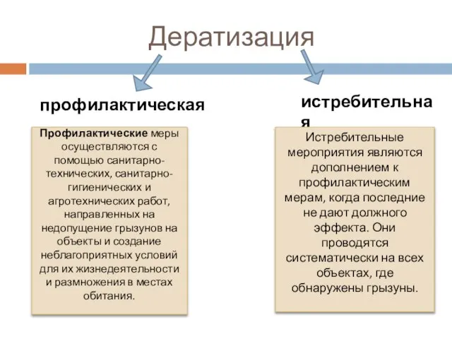 Дератизация профилактическая истребительная Профилактические меры осуществляются с помощью санитарно-технических, санитарно-гигиенических и