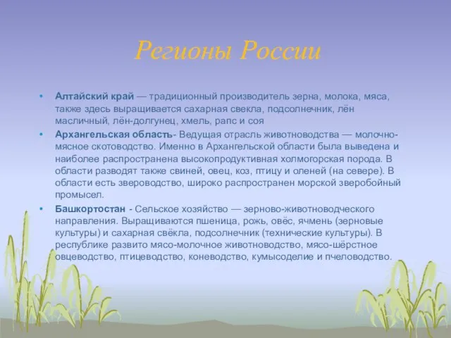 Регионы России Алтайский край — традиционный производитель зерна, молока, мяса, также