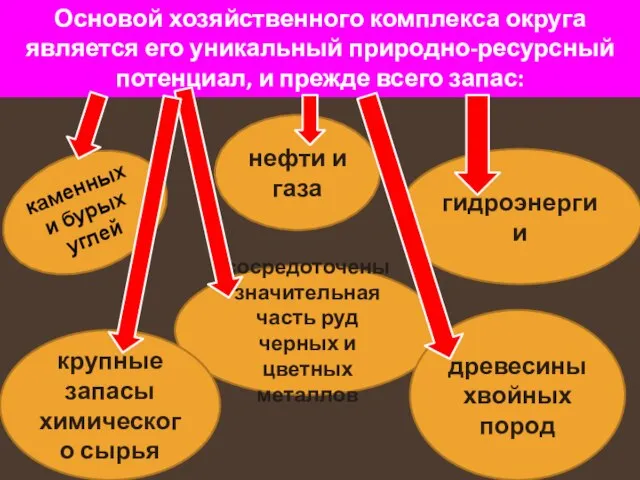 Основой хозяйственного комплекса округа является его уникальный природно-ресурсный потенциал, и прежде