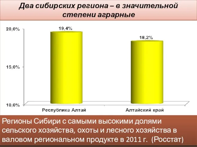 Два сибирских региона – в значительной степени аграрные Регионы Сибири с