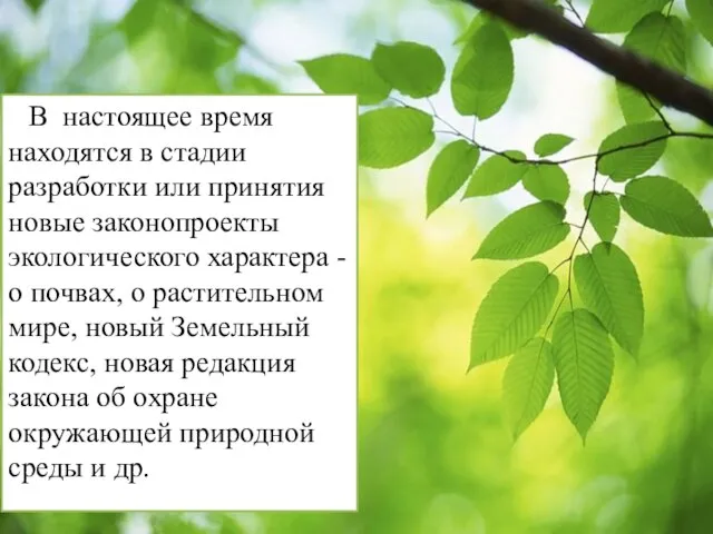 В настоящее время находятся в стадии разработки или принятия новые законопроекты