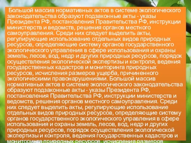 Большой массив нормативных актов в системе экологического законодательства образуют подзаконные акты