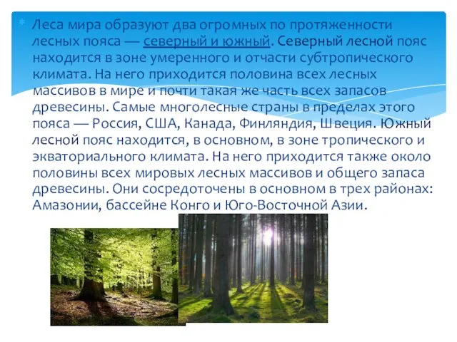 Леса мира образуют два огромных по протяженности лесных пояса — северный