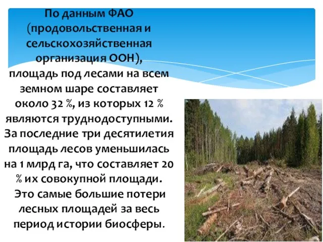 По данным ФАО (продовольственная и сельскохозяйственная организация ООН), площадь под лесами