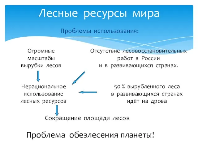 Лесные ресурсы мира Сокращение площади лесов Нерациональное использование лесных ресурсов 50