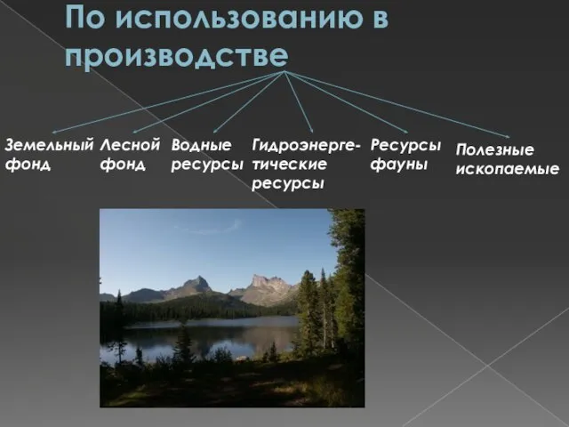 По использованию в производстве Земельный фонд Лесной фонд Водные ресурсы Гидроэнерге-тические ресурсы Ресурсы фауны Полезные ископаемые