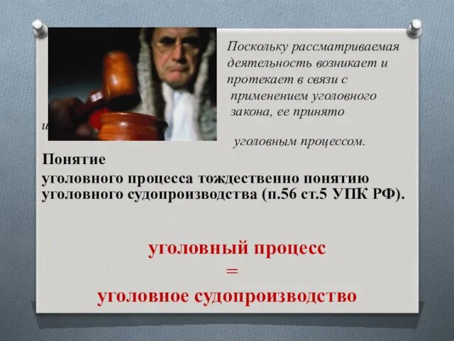 Поскольку рассматриваемая деятельность возникает и протекает в связи с применением уголовного