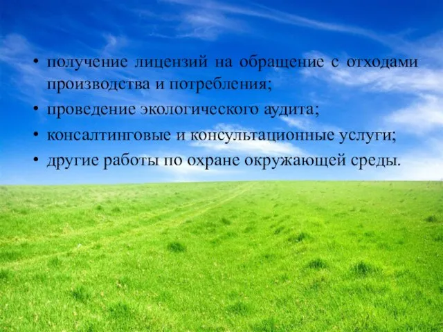 получение лицензий на обращение с отходами производства и потребления; проведение экологического