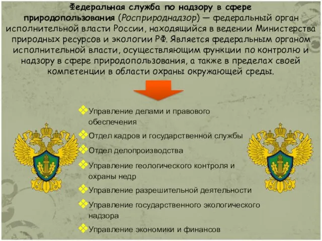 Федеральная служба по надзору в сфере природопользования (Росприроднадзор) — федеральный орган