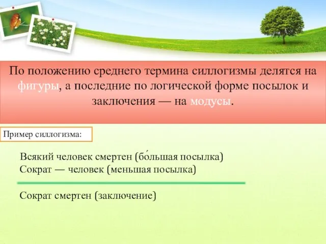 По положению среднего термина силлогизмы делятся на фигуры, а последние по