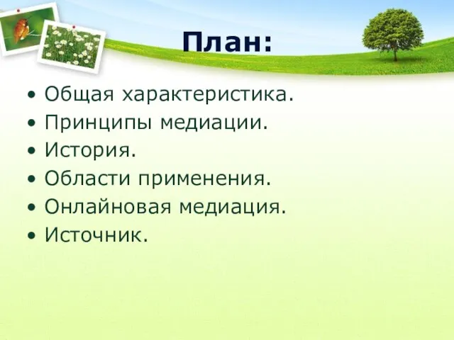 План: Общая характеристика. Принципы медиации. История. Области применения. Онлайновая медиация. Источник.