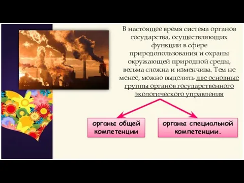 В настоящее время система органов государства, осуществляющих функции в сфере природопользования